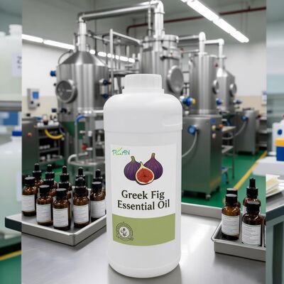 Чистые ароматические масла Греческий инжир Эссенция для ежедневного использования в парфюмерии / Производство с бесплатным образцом